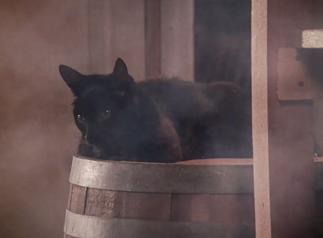Little House on the Prairie - Gambini, the Great - black cat Pepper sitting on barrel