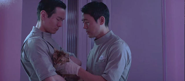 Living with Yourself - The Best You Can Be - bengal tabby cat being held by spa employees Rob Yang James Seol