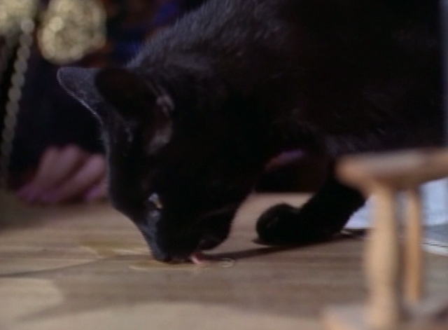 Lois and Clark - Pheromone, My Lovely - black cat licking up perfume