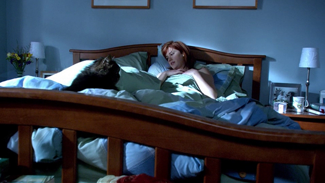 The L-Word - Lies Lies Lies - Mr. Piddles cat on foot of bed with Lara Lauren Lee Smith