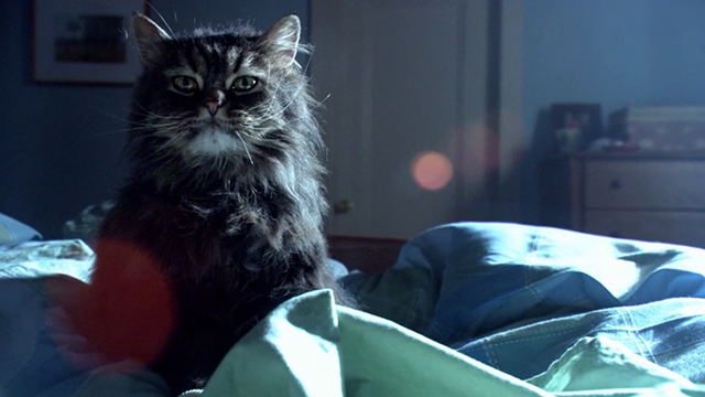 The L-Word - Lies Lies Lies - Mr. Piddles cat at foot of bed looking at camera