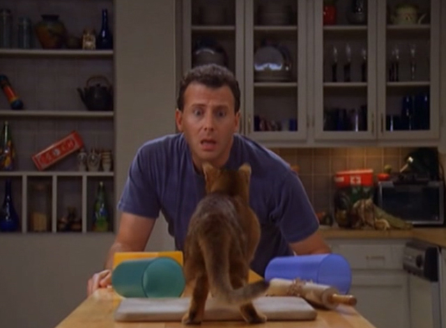 Mad About You - There's a Puma in the Kitchen - Paul Reiser looking scared at cat puma in front of him