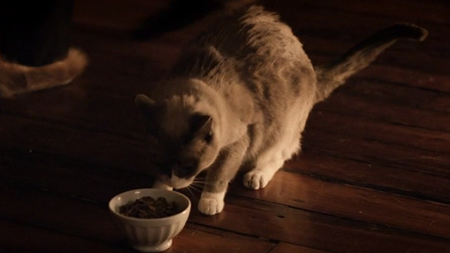 Madame Secretary - The Seventh Floor - Snowshoe cat with bowl of food on floor