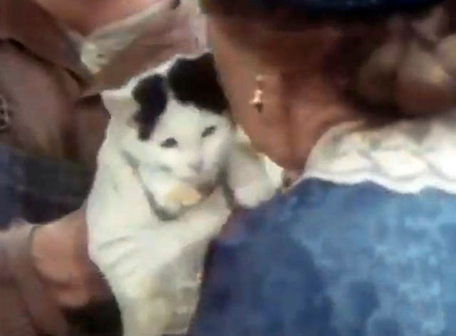 The Magical World of Disney - The Adventures of Pollyanna - white and black kitten Charles being taken by Miss Best