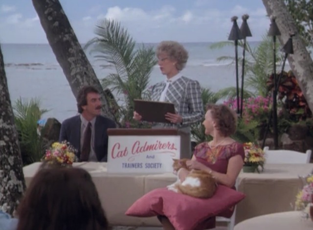 Magnum, P.I. - Photo Play cat Tibolt close