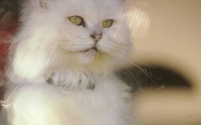 Mako Mermaids - Meeting Rita