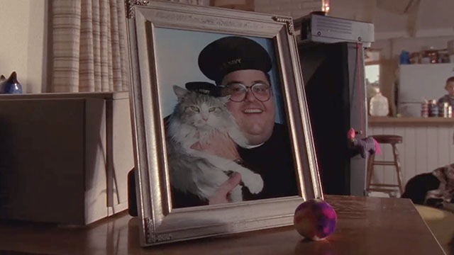 Malcolm in the Middle - Malcolm vs. Reese - photograph of Craig David Anthony Higgins holding longhair grey and white cat Jellybean in sailor hats