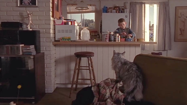 Malcolm in the Middle - Malcolm vs. Reese - Dewey Erik Per Sullivan preparing food for longhair grey and white cat Jellybean