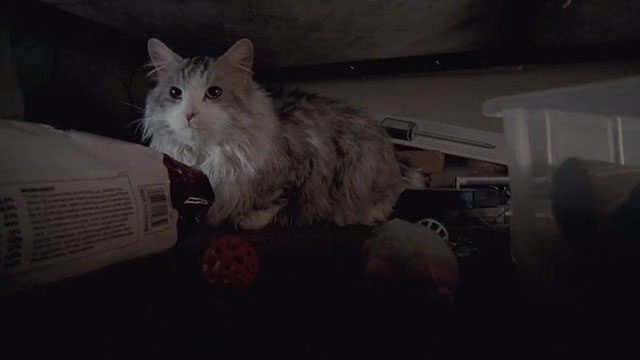 Malcolm in the Middle - Malcolm vs. Reese - longhair grey and white cat Jellybean under bed
