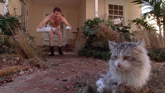 Malcolm in the Middle - Malcolm vs. Reese - Hal Bryan Cranston approaching longhair grey and white cat Jellybean