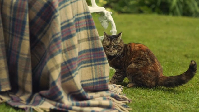 Malory Towers - The Lost Treasure - torbie cat Kenny at feet of Matron