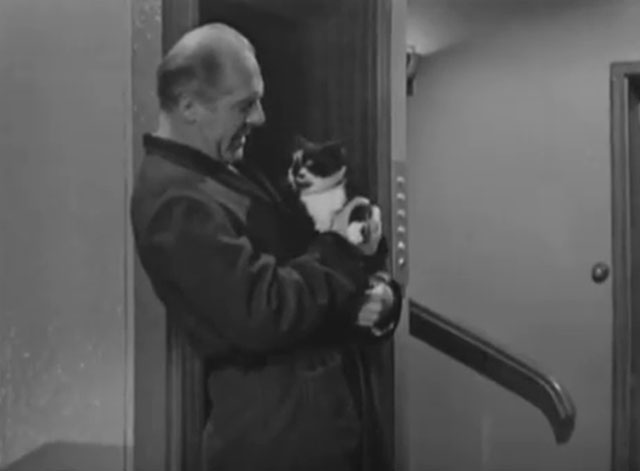 A Man Called Harry Brent - Episode 2 Jacqueline - porter John Horsley holding tuxedo cat