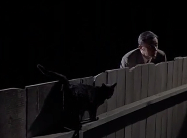 Man from U.N.C.L.E. - The Re-Collectors Affair - Napoleon Solo Robert Vaughn behind black cat on fence