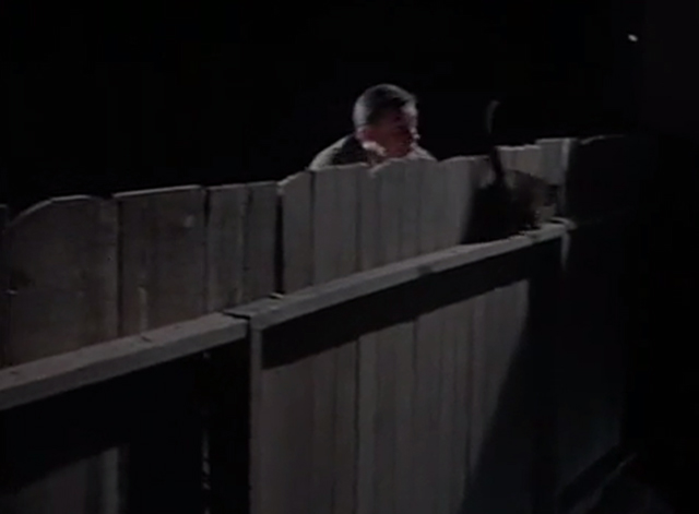 Man from U.N.C.L.E. - The Re-Collectors Affair - Napoleon Solo Robert Vaughn behind black cat running away along fence