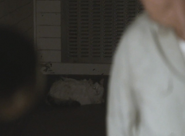 Manhattan - The Prisoner's Dilemma - one-eyed cat in corner