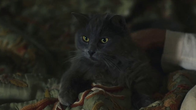 The Marlow Murder Club - Season One - gray longhair cat Jasper Thor lying on bed
