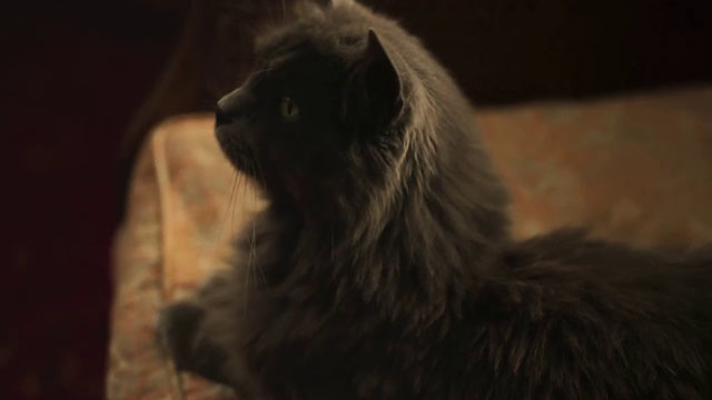 The Marlow Murder Club - Season One - gray longhair cat Jasper Thor