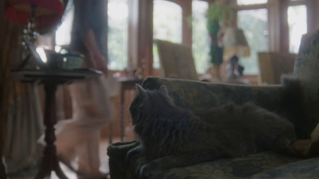 The Marlow Murder Club - Season One - Judith Samantha Bond walking across room watched by gray longhair cat Jasper Thor