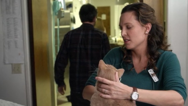 Maron - Internet Troll Boomer orange tabby cat with female vet petting him