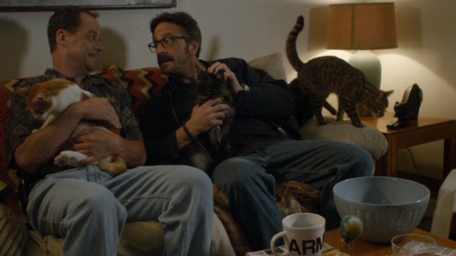 Maron - Internet Troll Maron with fan and multiple cats