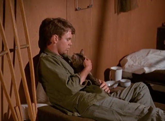 M*A*S*H - Springtime soldier Greg Mabrey holding tabby cat Fluffy
