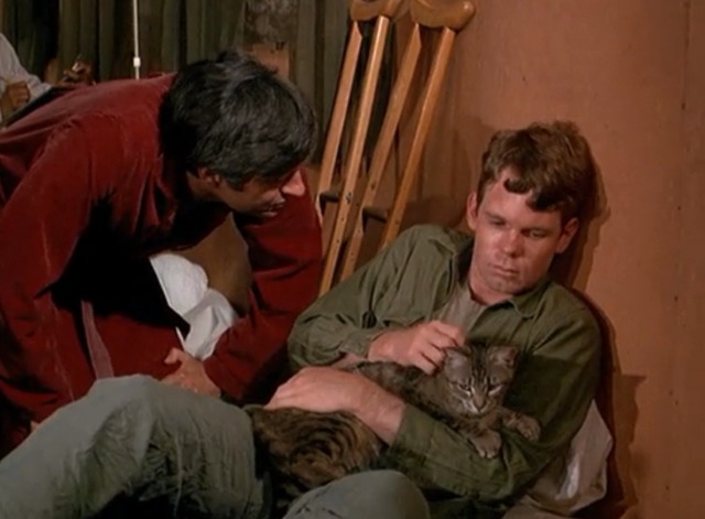 M*A*S*H - Springtime Hawkeye Alan Alda talking to soldier Greg Mabrey holding tabby cat Fluffy