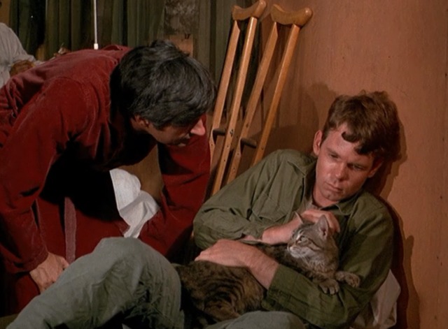 M*A*S*H - Springtime Hawkeye Alan Alda still talking to soldier Greg Mabrey holding tabby cat Fluffy