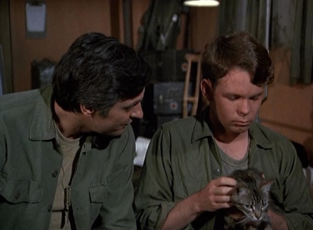 M*A*S*H - Springtime Hawkeye Alan Alda asks soldier Greg Mabrey for tabby cat Fluffy