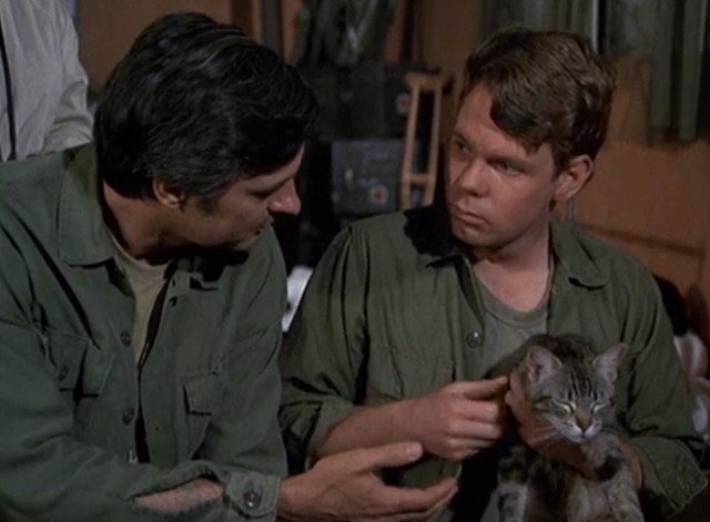 M*A*S*H - Springtime Hawkeye Alan Alda encourages soldier Greg Mabrey to give him tabby cat Fluffy