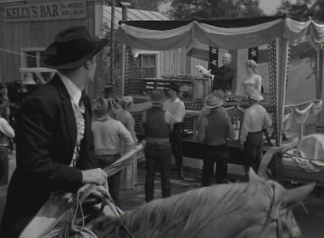 Maverick - The Cats of Paradise - Maverick sees cat auction