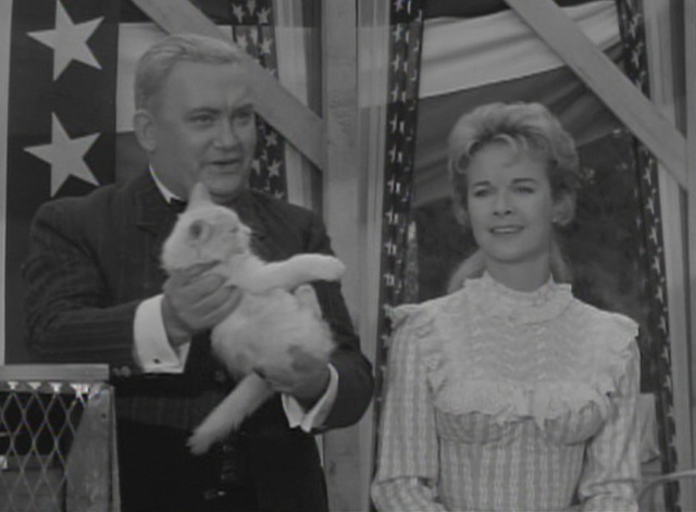 Maverick - The Cats of Paradise - the Mayor and Modesty hold cat auction