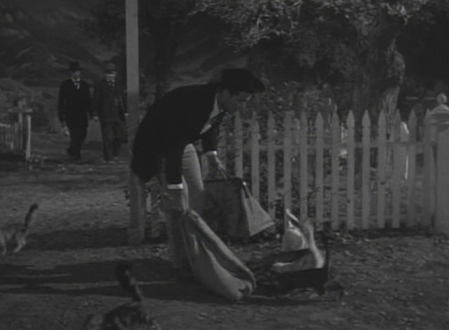 Maverick - The Cats of Paradise - Maverick lures cats to cemetery