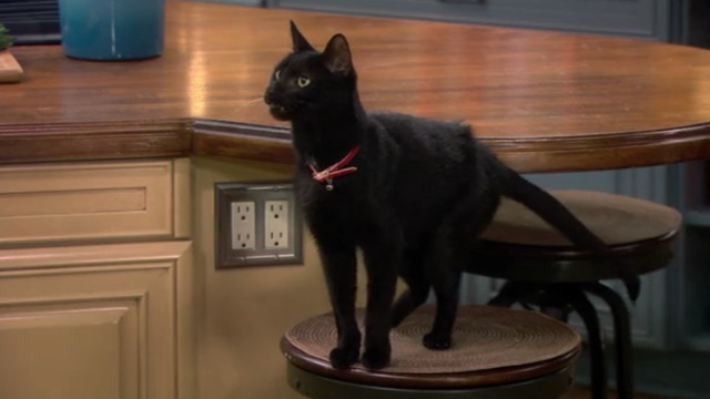 Melissa and Joey - Witch Came First - black cat on stool
