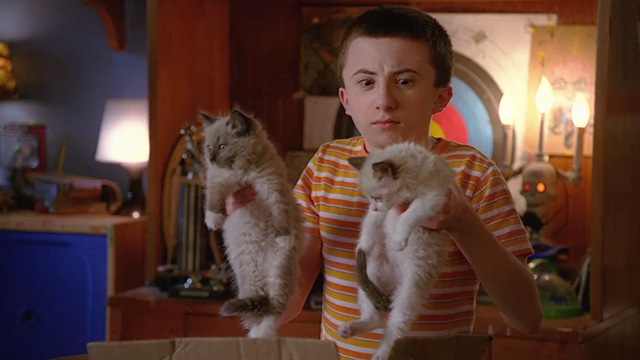 The Middle - From Orson with Love - Brick Atticus Shaffer holding two Siamese mix kittens