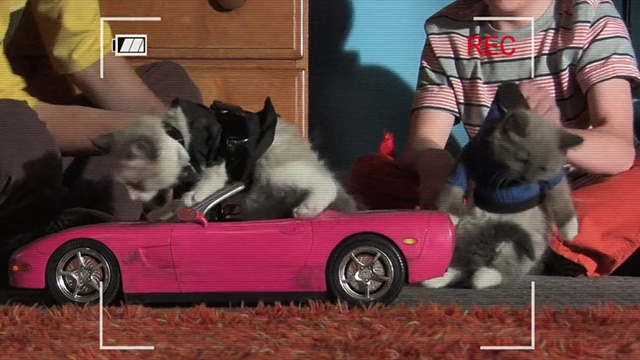 The Middle - From Orson with Love - Siamese mix kittens as James Bond escaping in convertible and villain