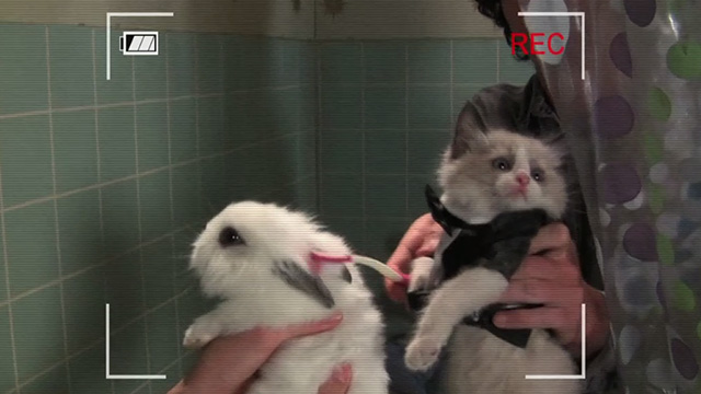 The Middle - From Orson with Love - Siamese mix kitten as James Bond with bunny in shower