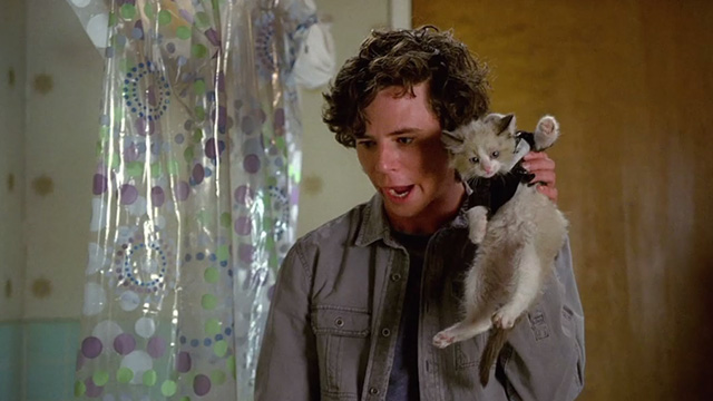 The Middle - From Orson with Love - Axl Charlie McDermott holding up Siamese mix kitten as James Bond