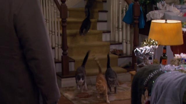 Mike and Molly - The Honeymoon is Over - cats running down stairs