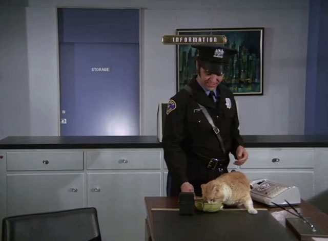 Mission: Impossible - Blind - security guard Calvin Chrane feeding ginger and white cat on desk