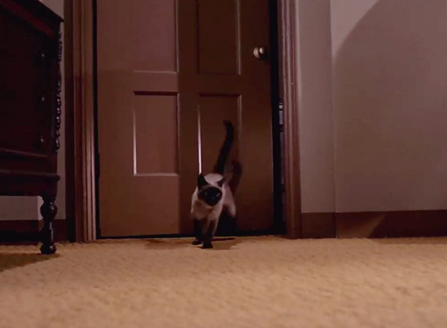 Mission: Impossible - The Diamond - Siamese cat Josephine running into room