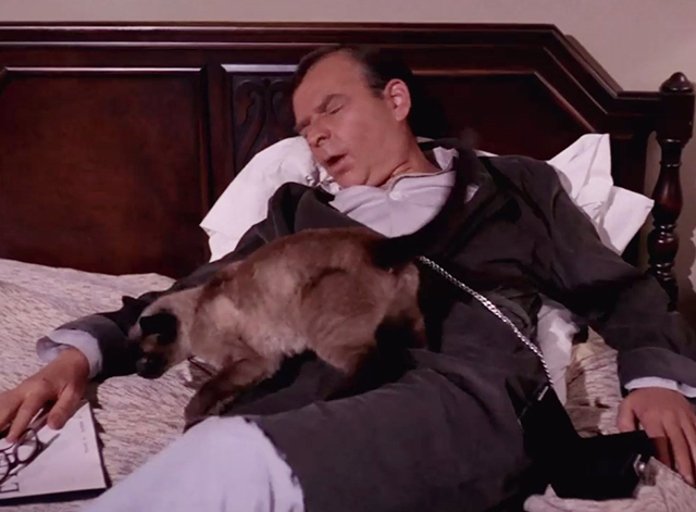 Mission: Impossible - The Diamond - Siamese cat Josephine on sleeping Henrik Durvard John Van Dreelen in bed