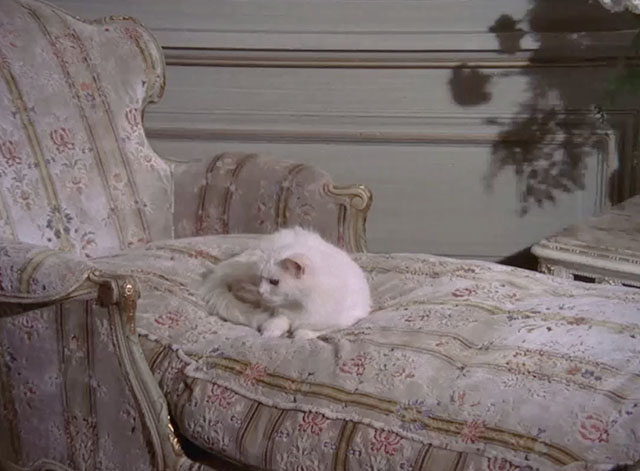 Mission: Impossible - The Falcon, Part 1 - longhair white cat lying on chair