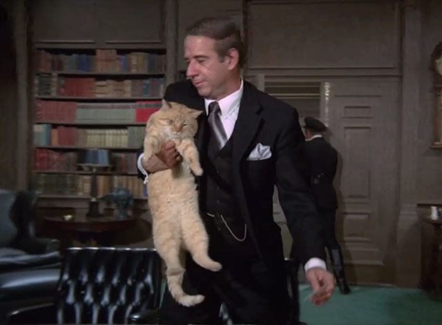 Mission Impossible Orpheus - ginger tabby cat Fritzy being carried awkardly by Bergman Albert Paulsen