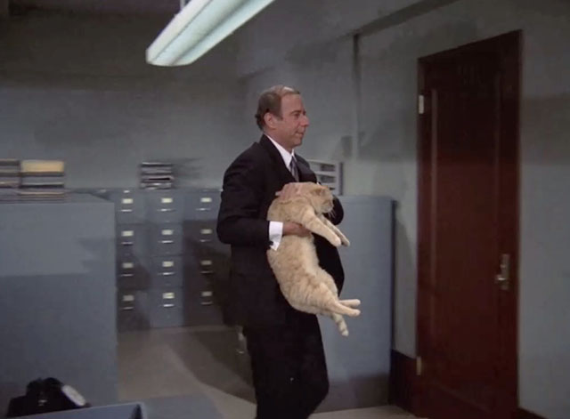 Mission Impossible Orpheus - ginger tabby cat Fritzy being carried awkardly by Bergman Albert Paulsen