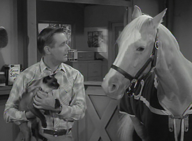 Mister Ed