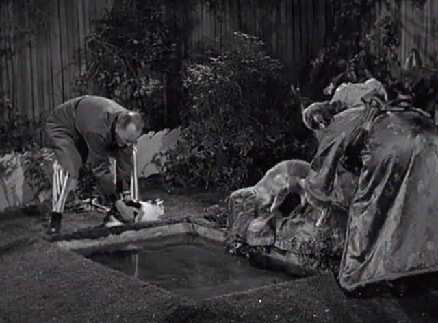Mister Ed - Mister Ed's Word of Honor - Roger Addison Larry Keating and his wife Kay Edna Skinner moving cats away from backyard fish pond