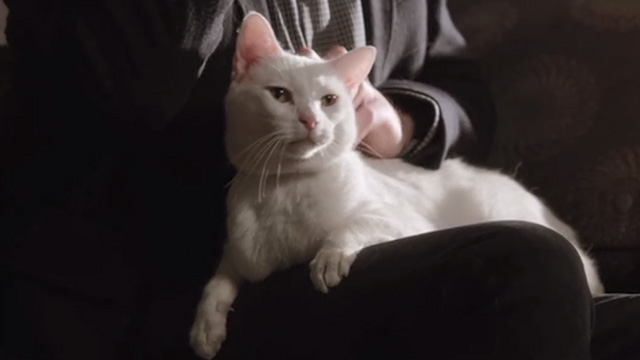 Modern Family - Diamond in the Rough - Larry Frosty cat being petted on lap