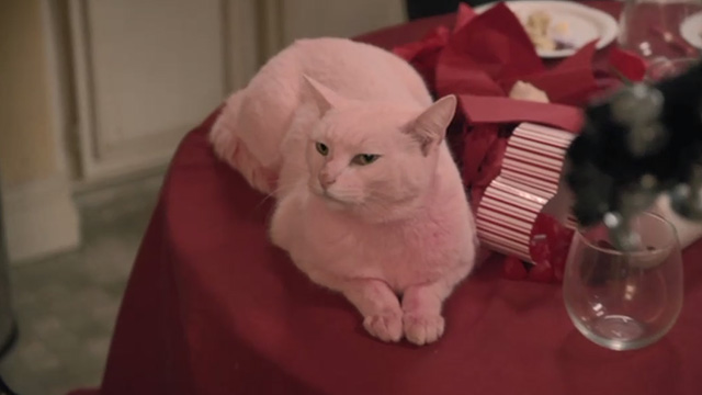 Modern Family - Heart Broken - Tiny Pink Panther Larry Frosty cat on table