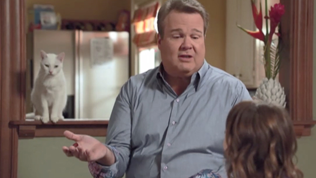 Modern Family - Larry's Wife - white cat Larry Frosty on counter behind Cameron Eric Stonestreet