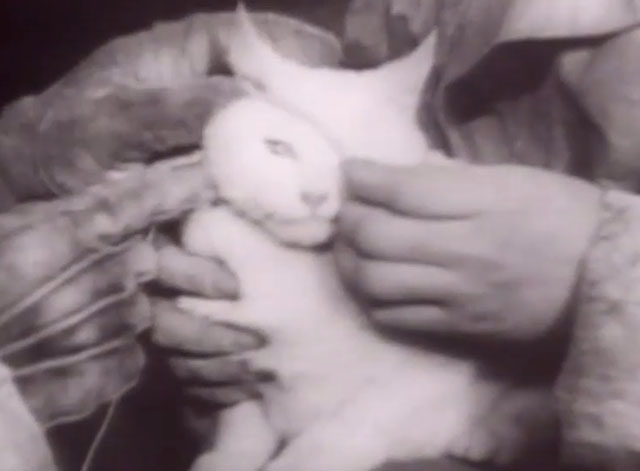 Modern Marvels - Grand Coulee Dam - newsreel footage of white cat Evelyn being fitted with string around neck